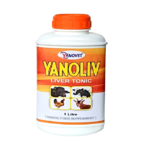 Yanoliv-1Litre