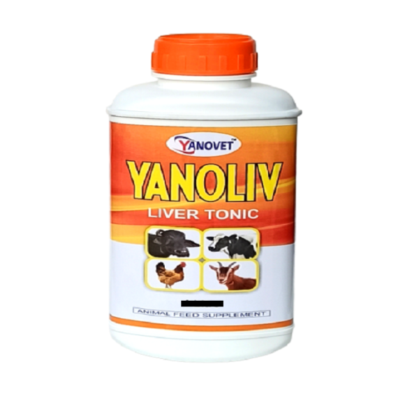 Yanoliv-500ml