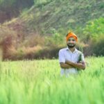 man, agriculture, farmer, agricultural, male, farm, men at work, rural, field, growth, crop, indian