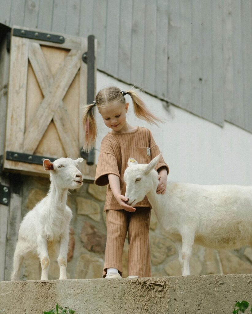 A young girl interacts with goats near a barn, enjoying playful farm life.